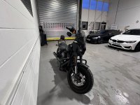 HARLEY-DAVIDSON Softail