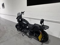 HARLEY-DAVIDSON Softail